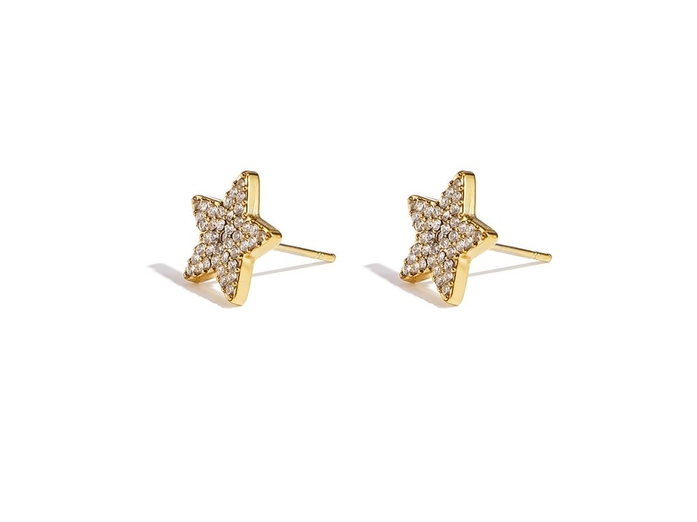 Stainless Steel Stud Earrings-Star